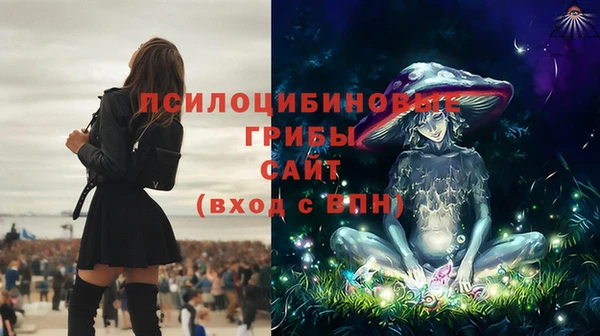spice Бронницы