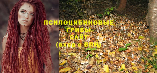 spice Бронницы