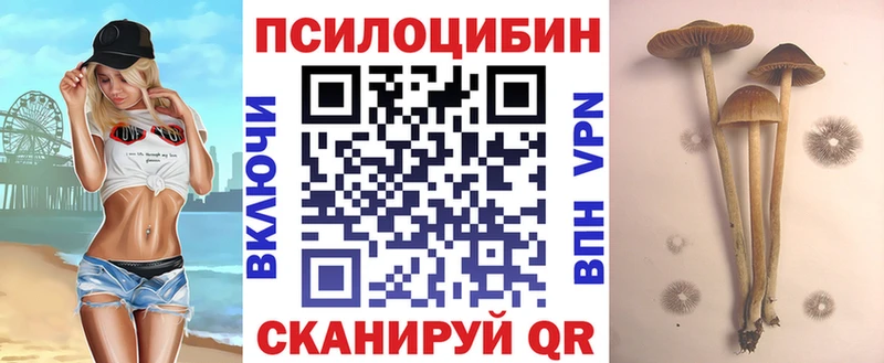 Псилоцибиновые грибы прущие грибы  Гулькевичи 
